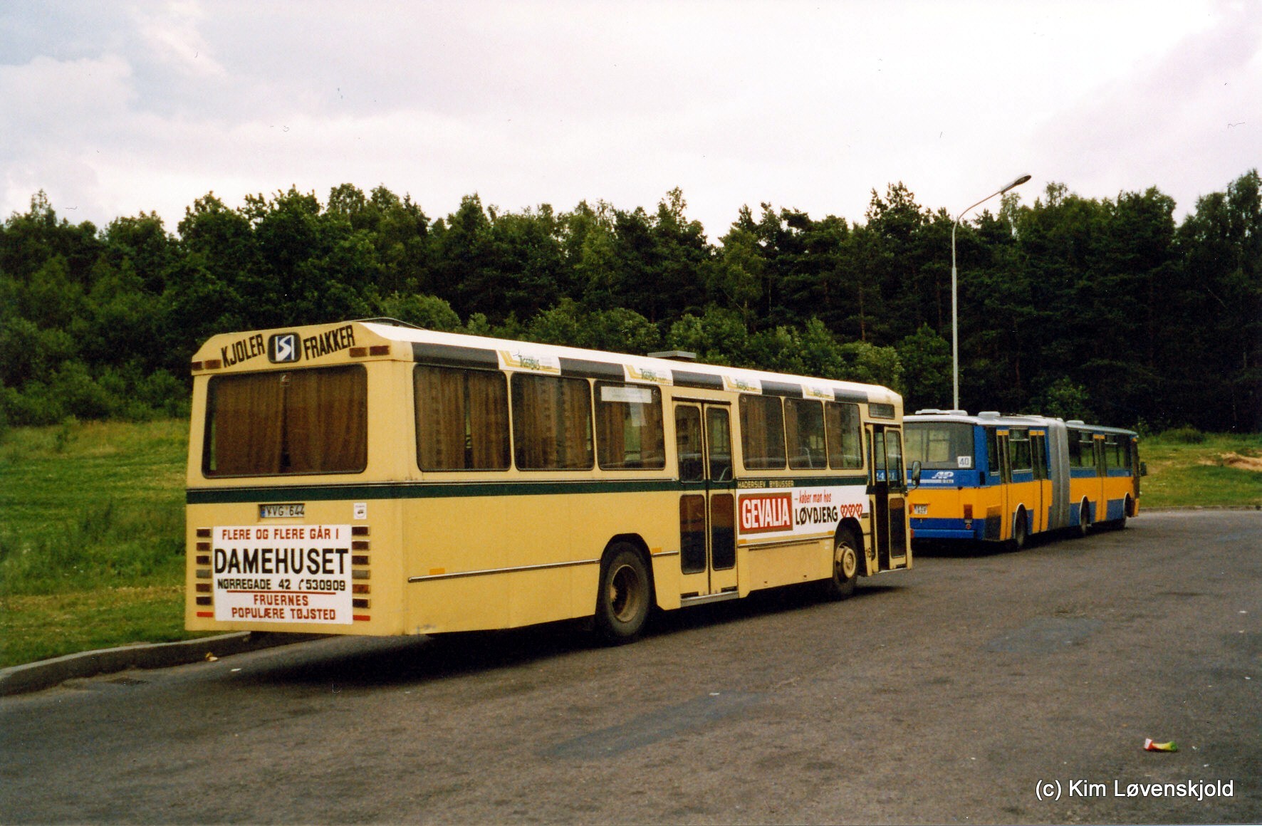 1981' Leyland 6-1-690/3 DAB