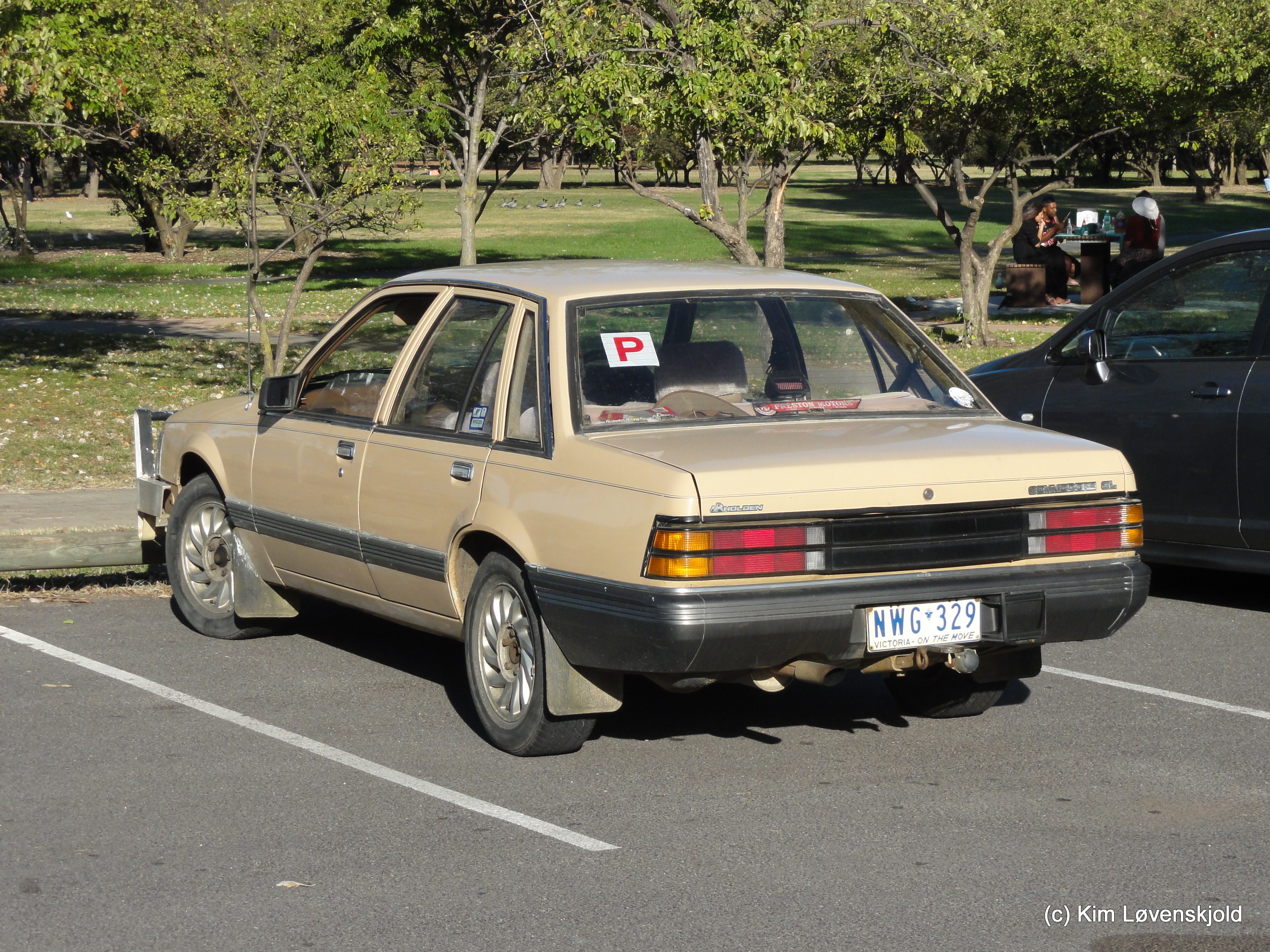 Holden Commodore
