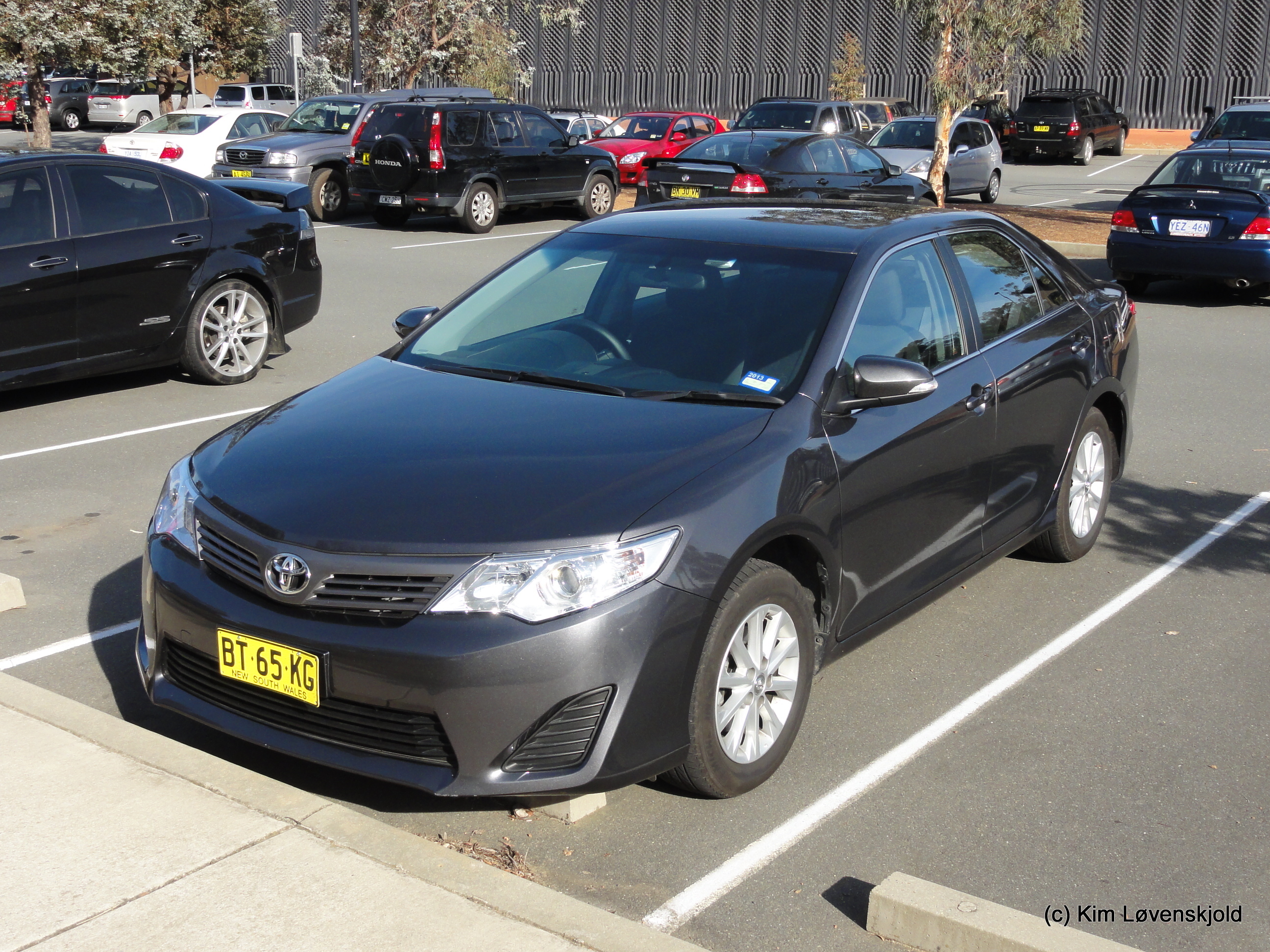 Toyota Aurion