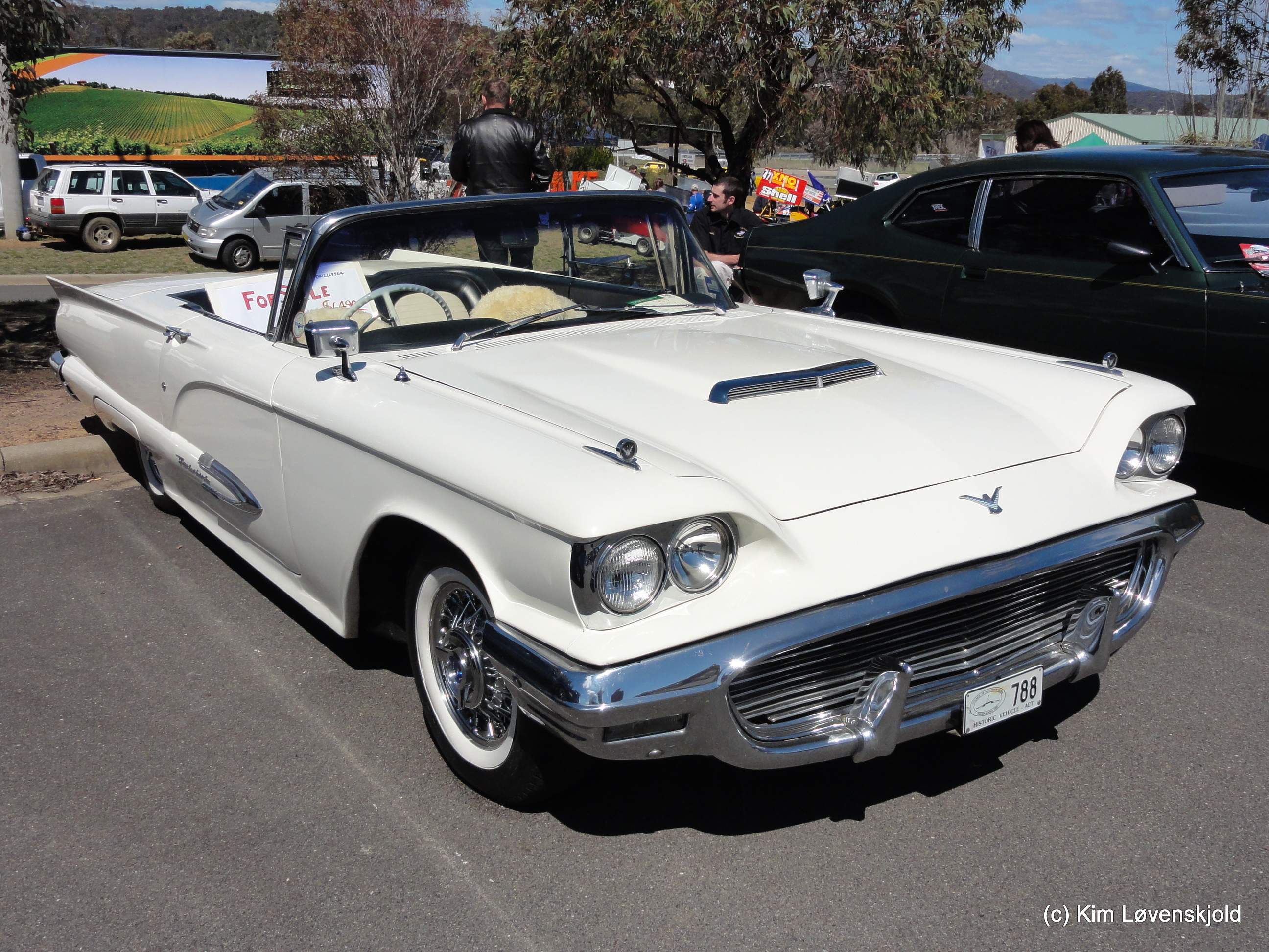 Ford T-Bird