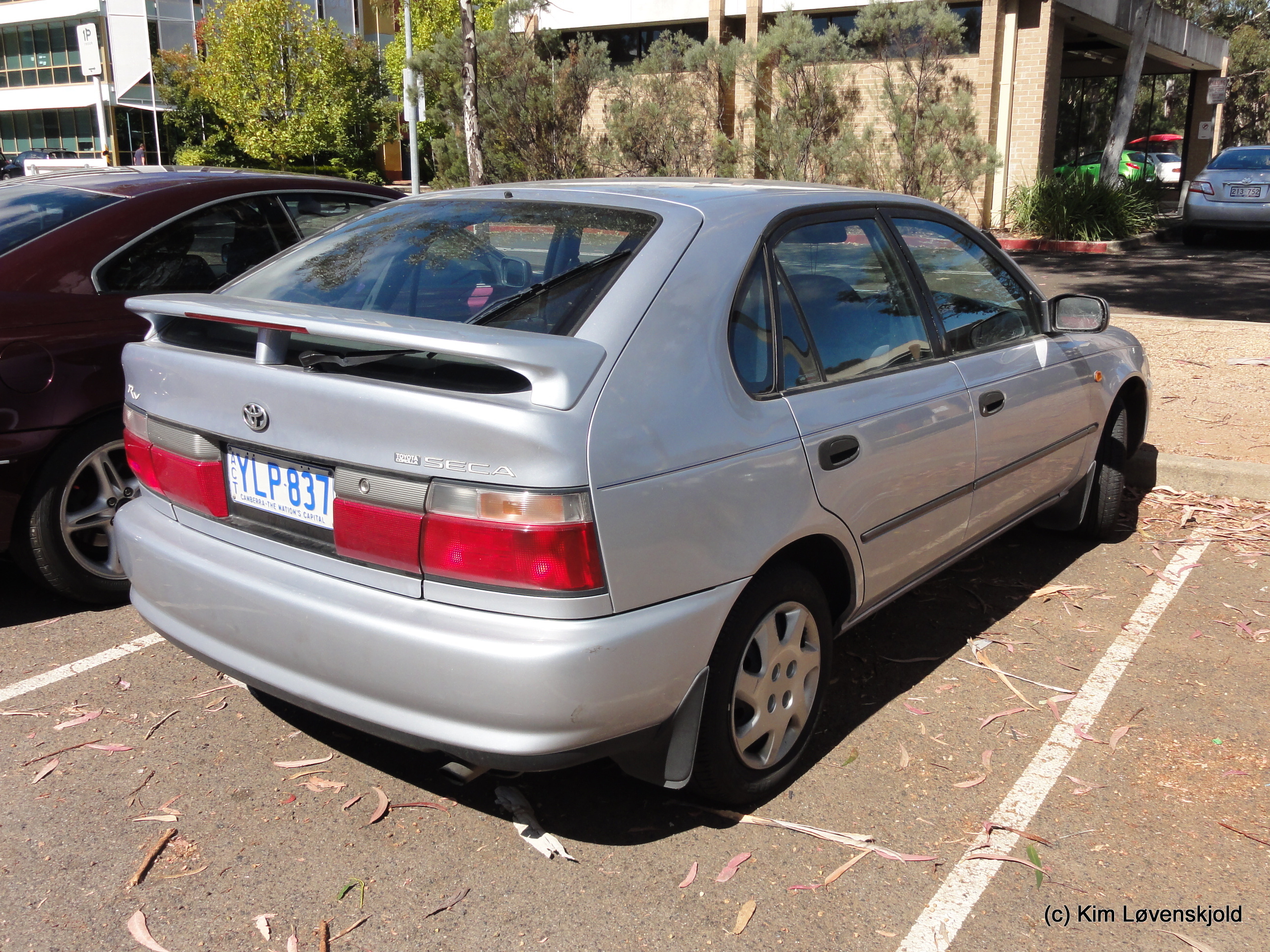 1996' Toyota Corolla