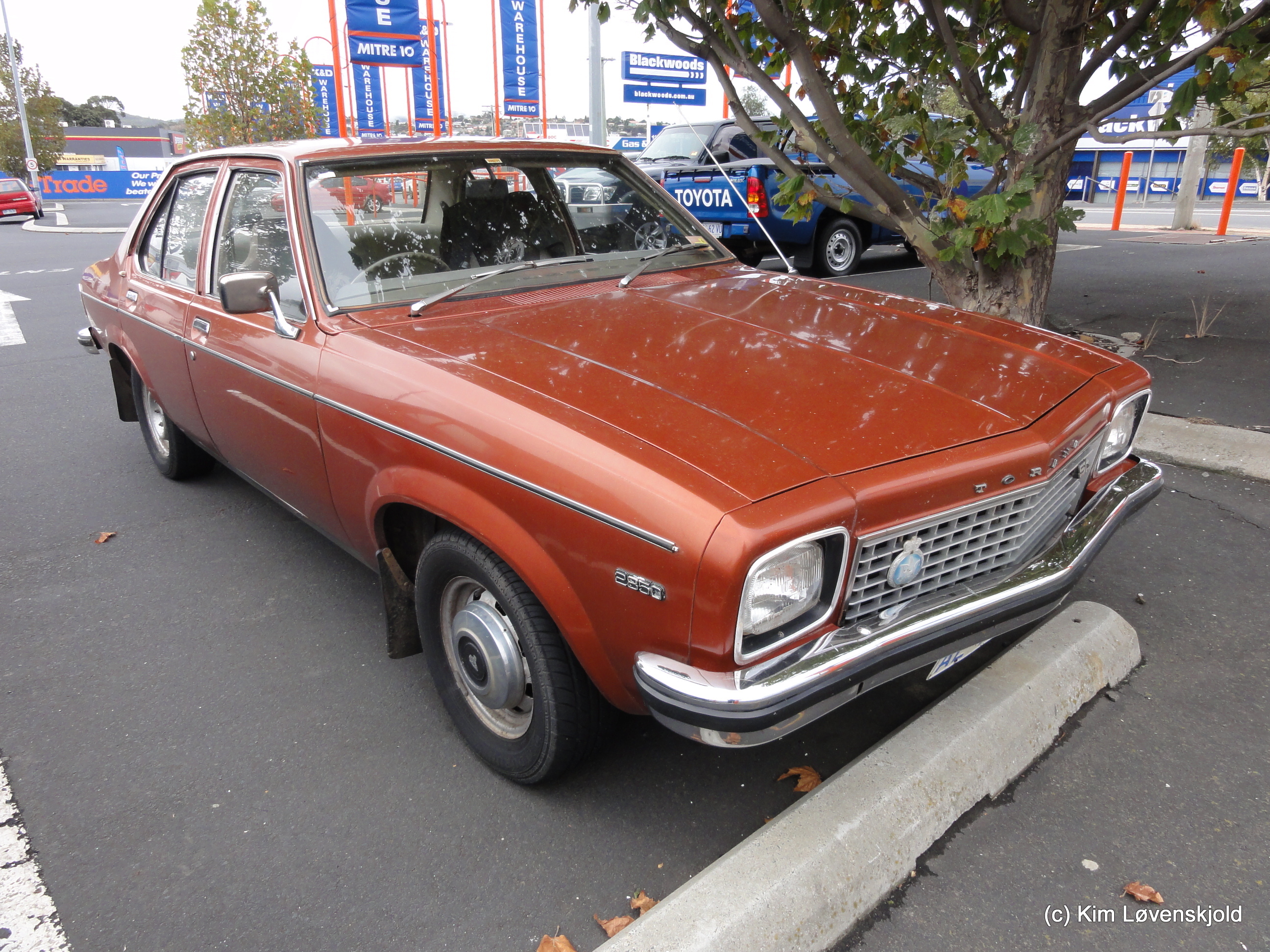 Holden Torana