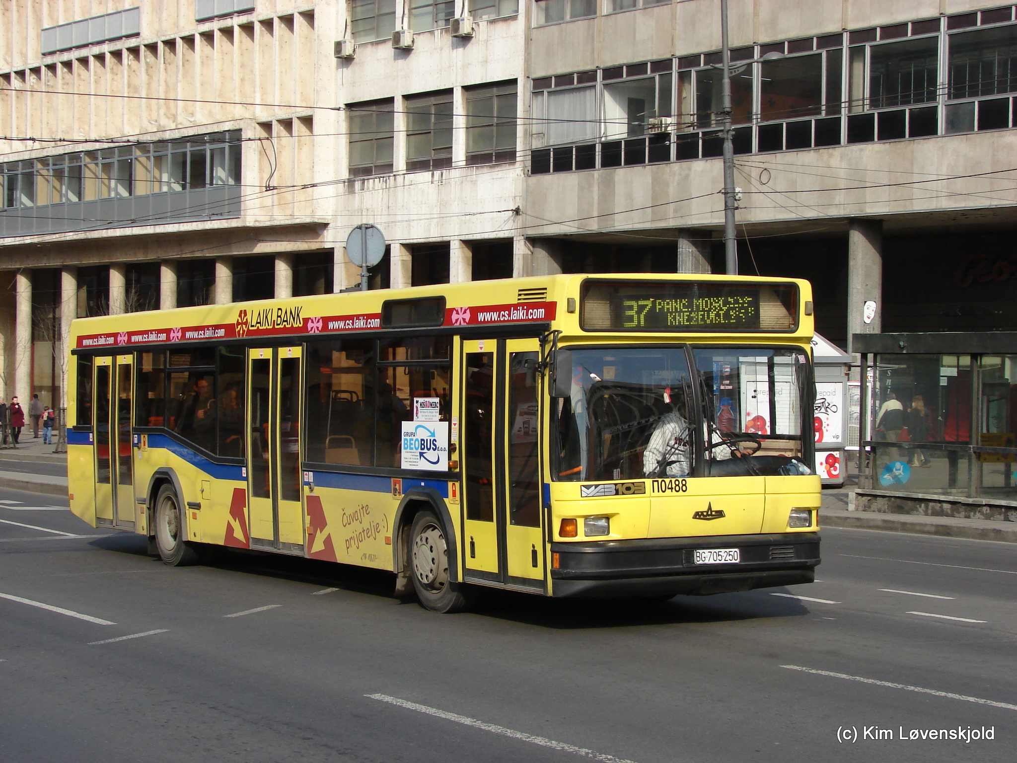 MAZ 103