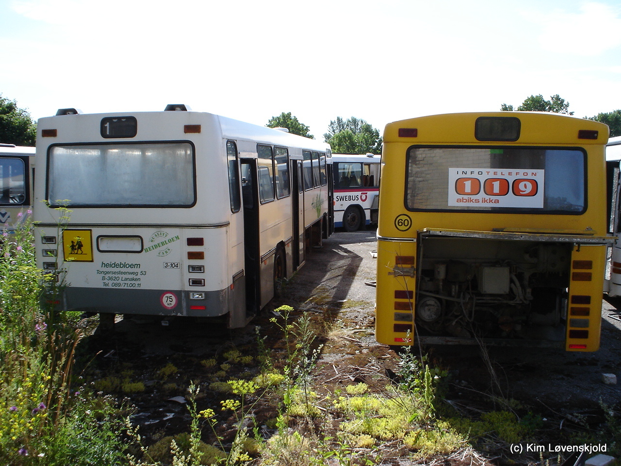 1988' Volvo B10M-60 Aabenraa & 1982' Volvo B10R-59 Aabenraa