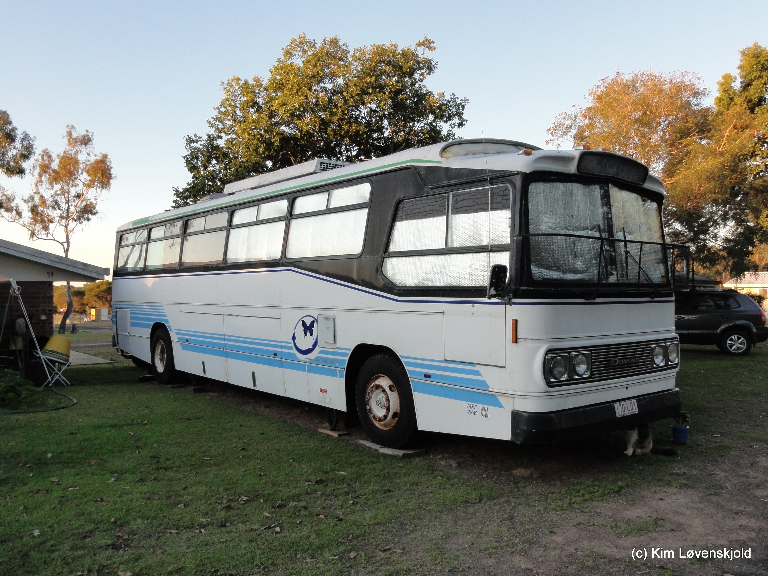 1979' Domino Starliner