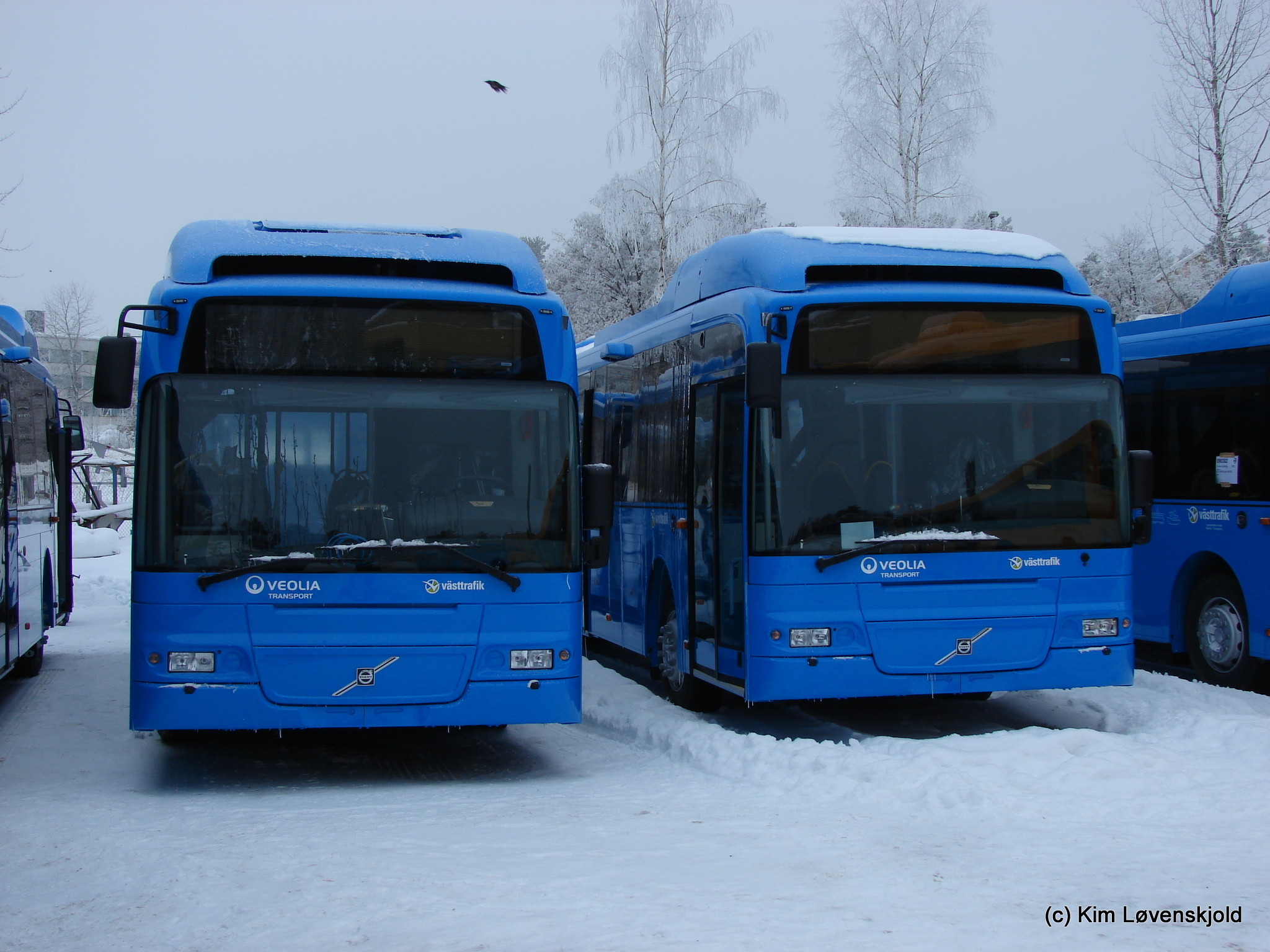 2010' Volvo 7500 (B9SALF)