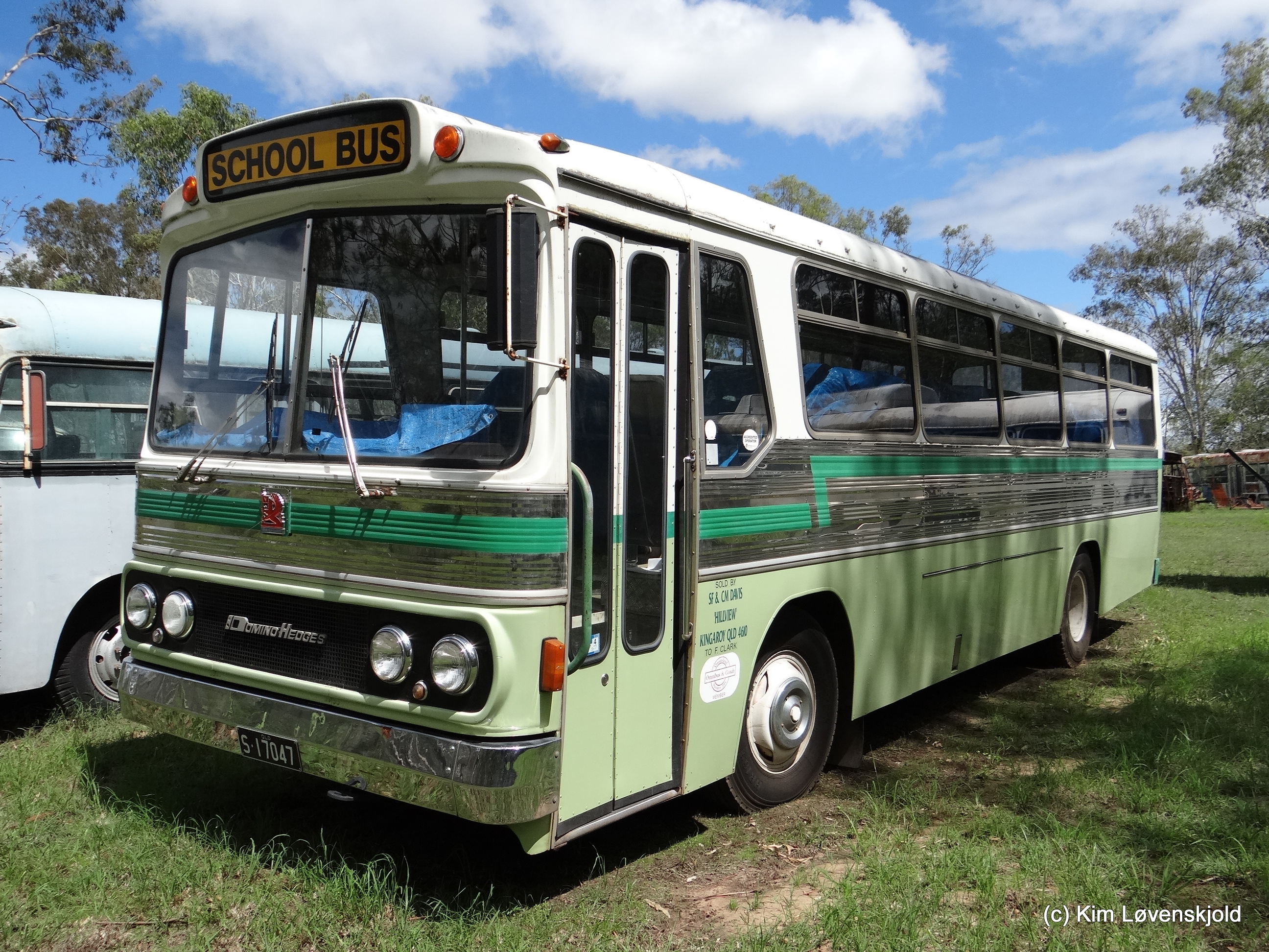 1978' Bedford BLP2 Domino-Hedges