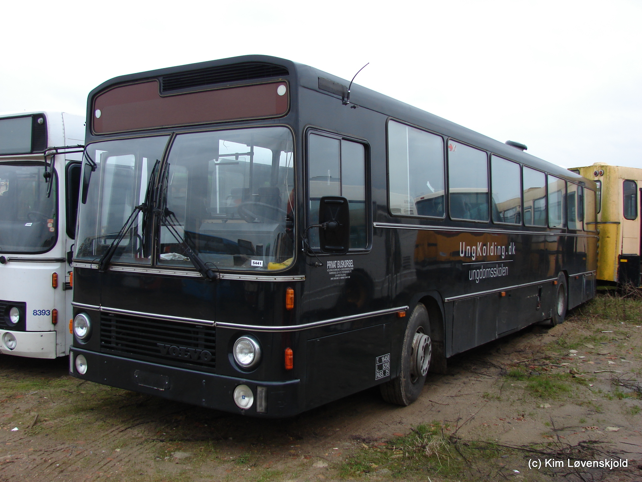 1984' Volvo B10M-60 Aabenraa