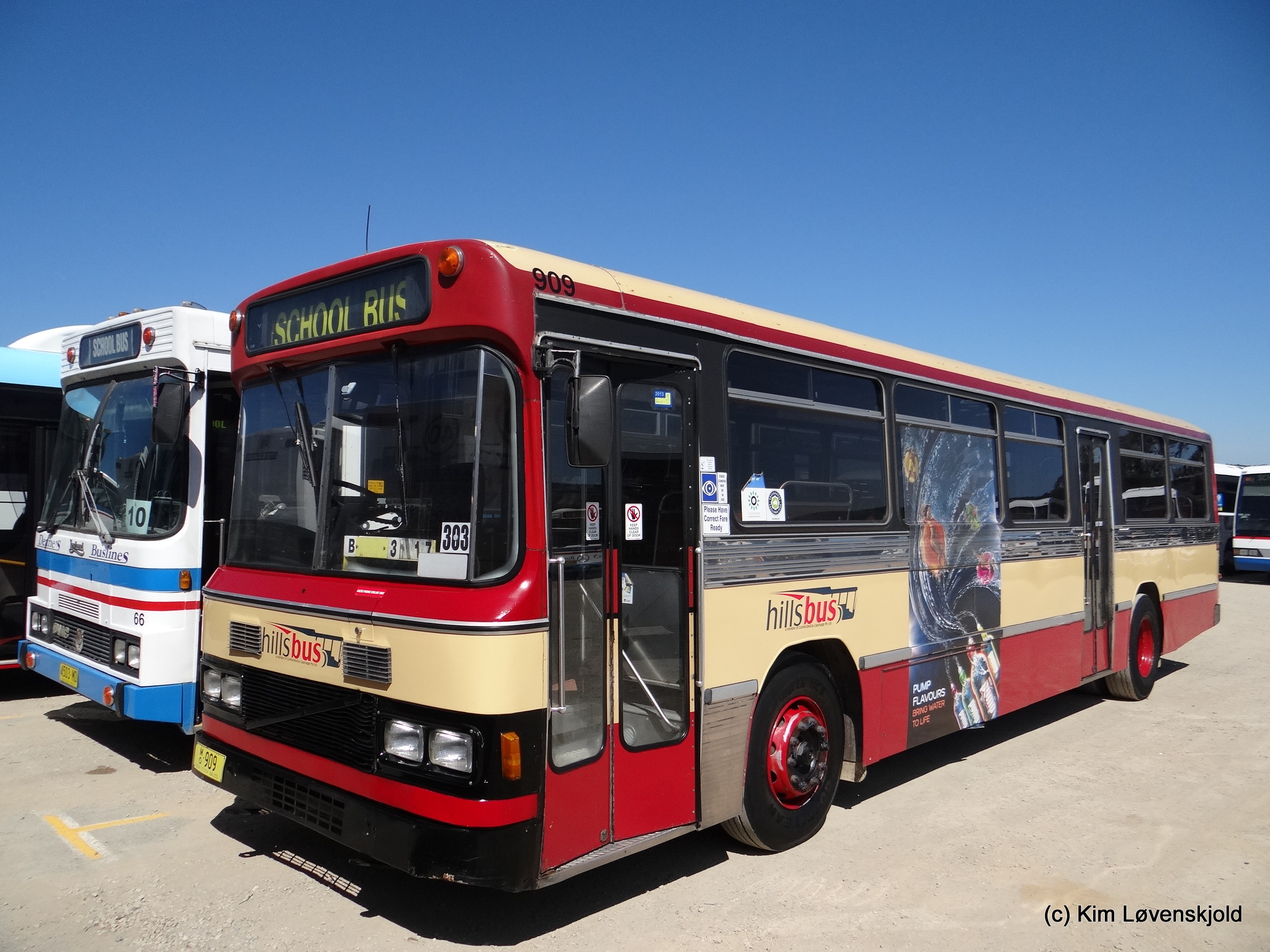 1985' Volvo B10M-61 Custom Coaches
