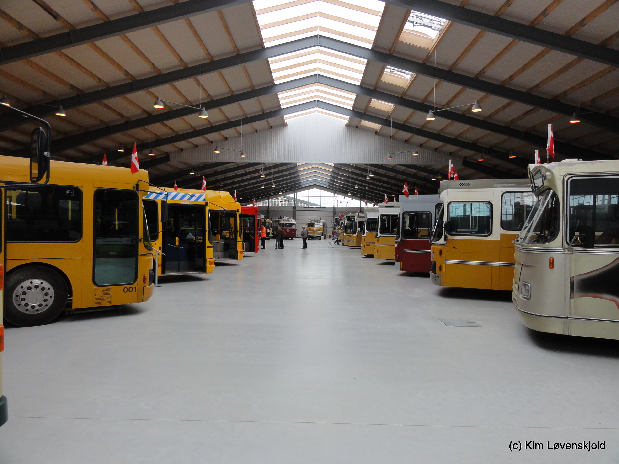 Misc. preserved buses