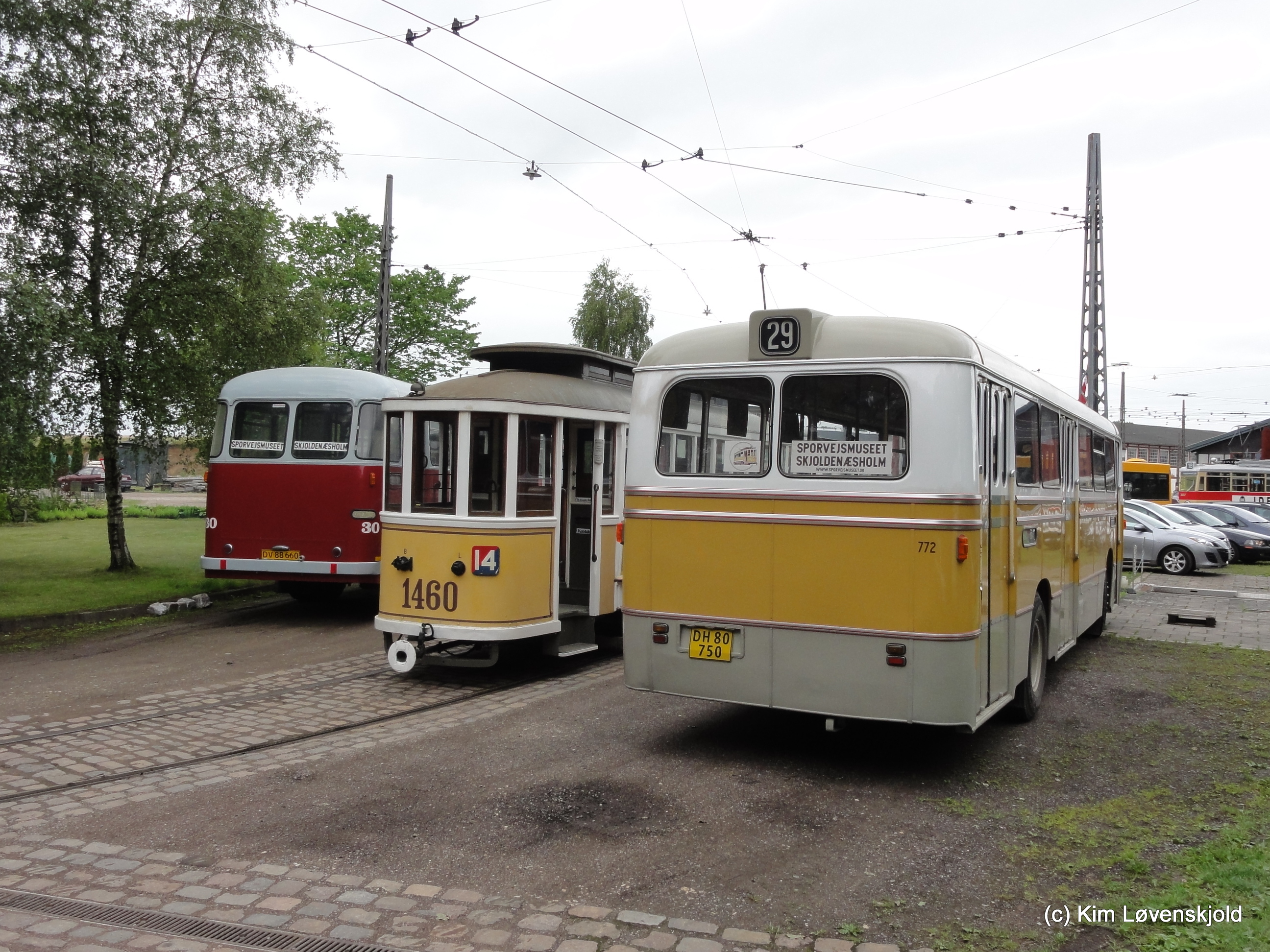 Preserved buses and tram