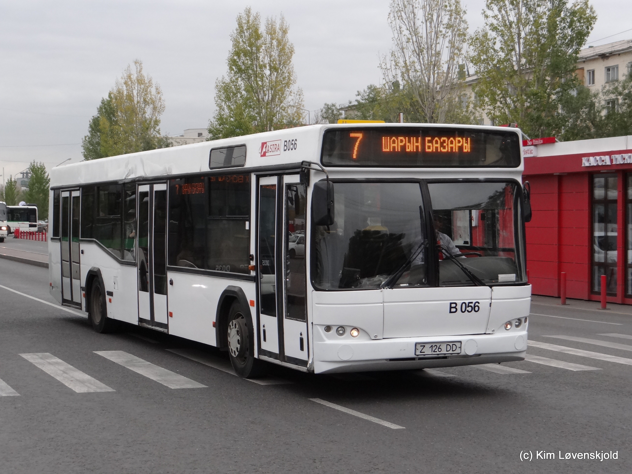 MAZ 103
