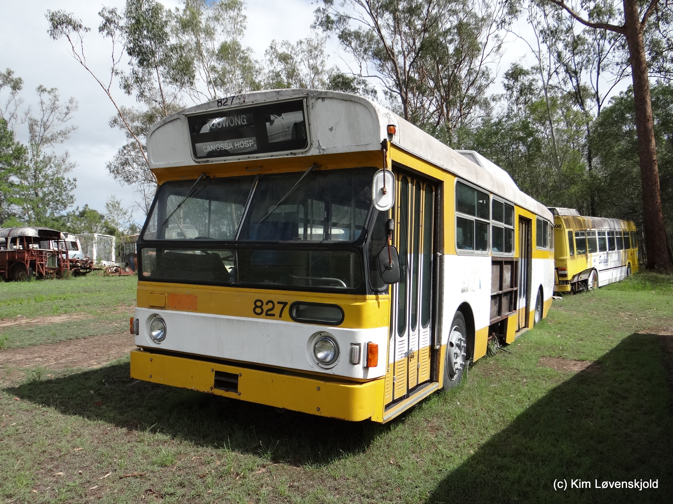 1978' Volvo B59-54 Domino-Hedges