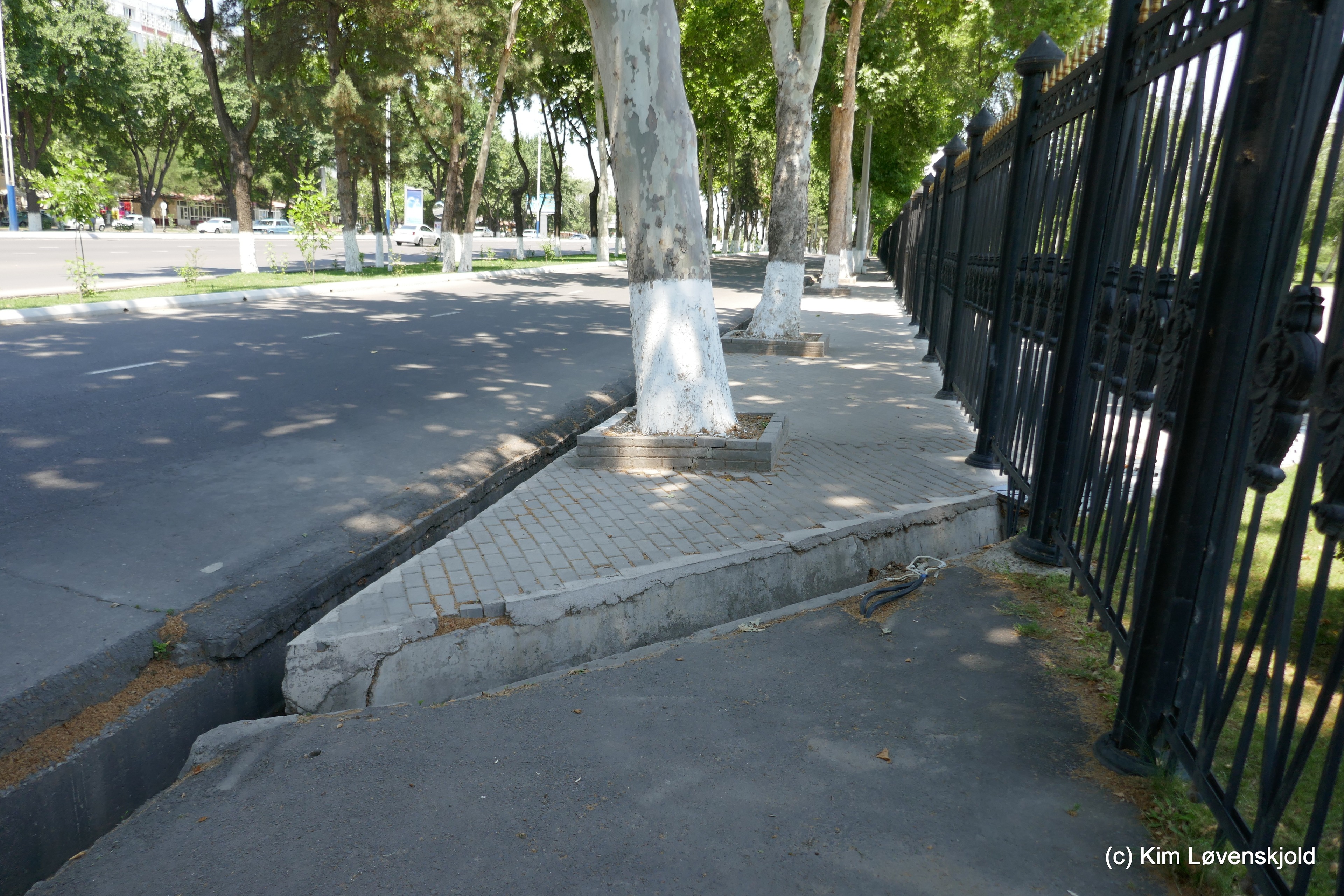 Tashkent Sidewalk
