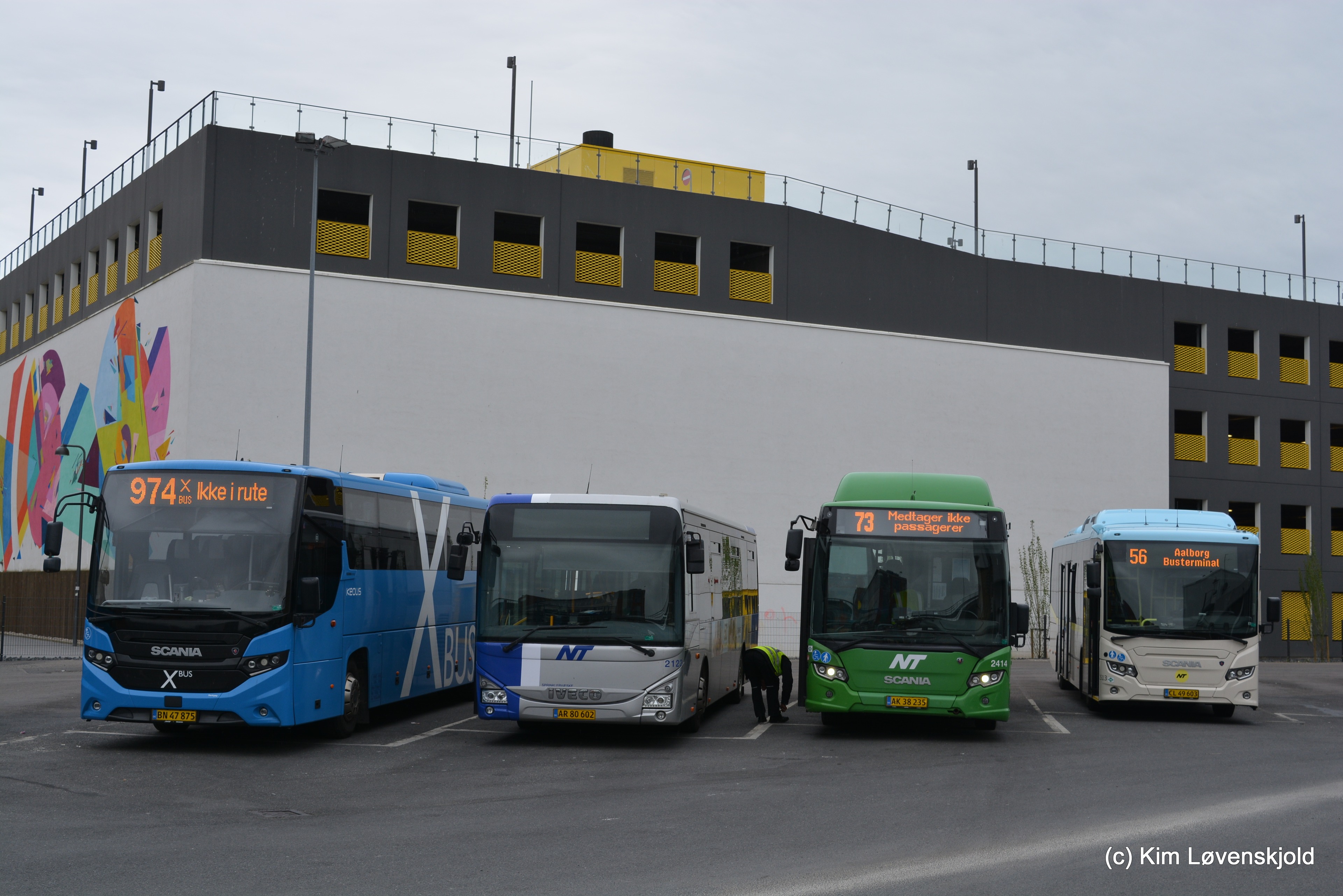 Four different regional NT buses.