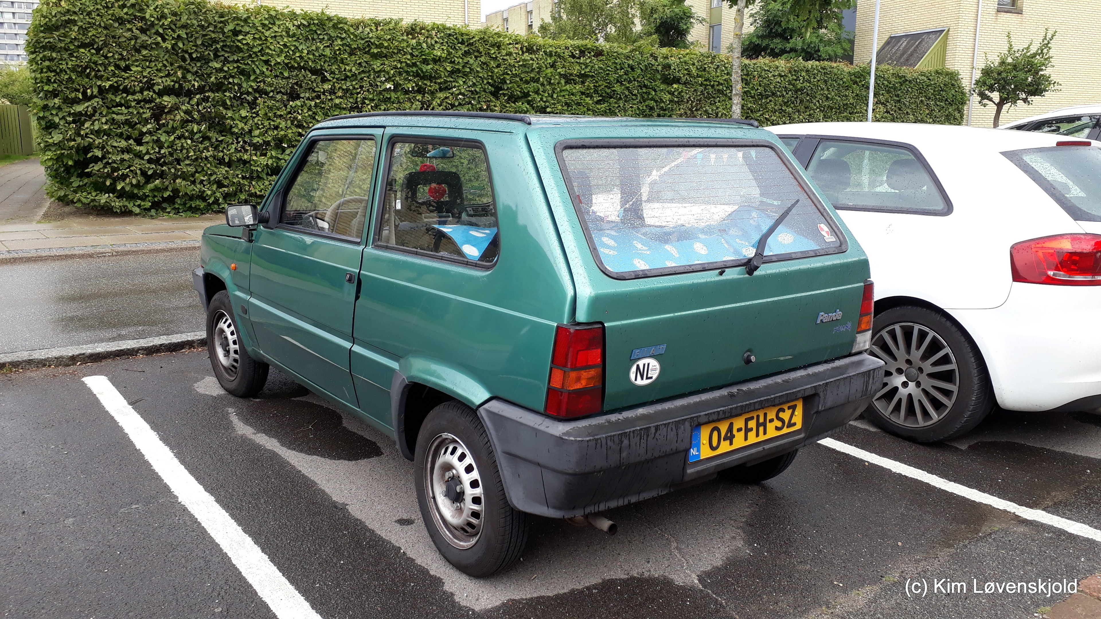 2000' Fiat Panda Young