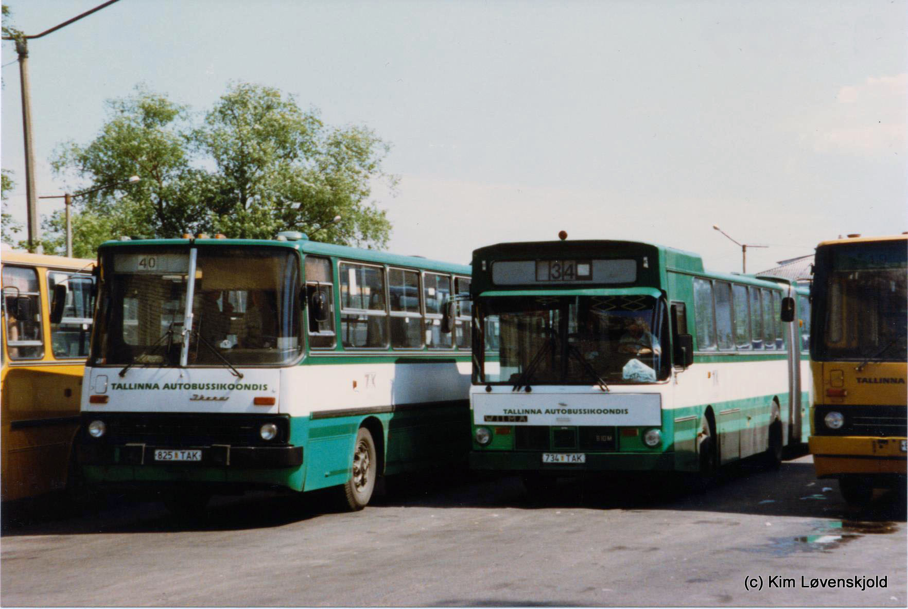 1988' Ikarus 280 & 1982' Volvo B10MA-55 Wiima N201