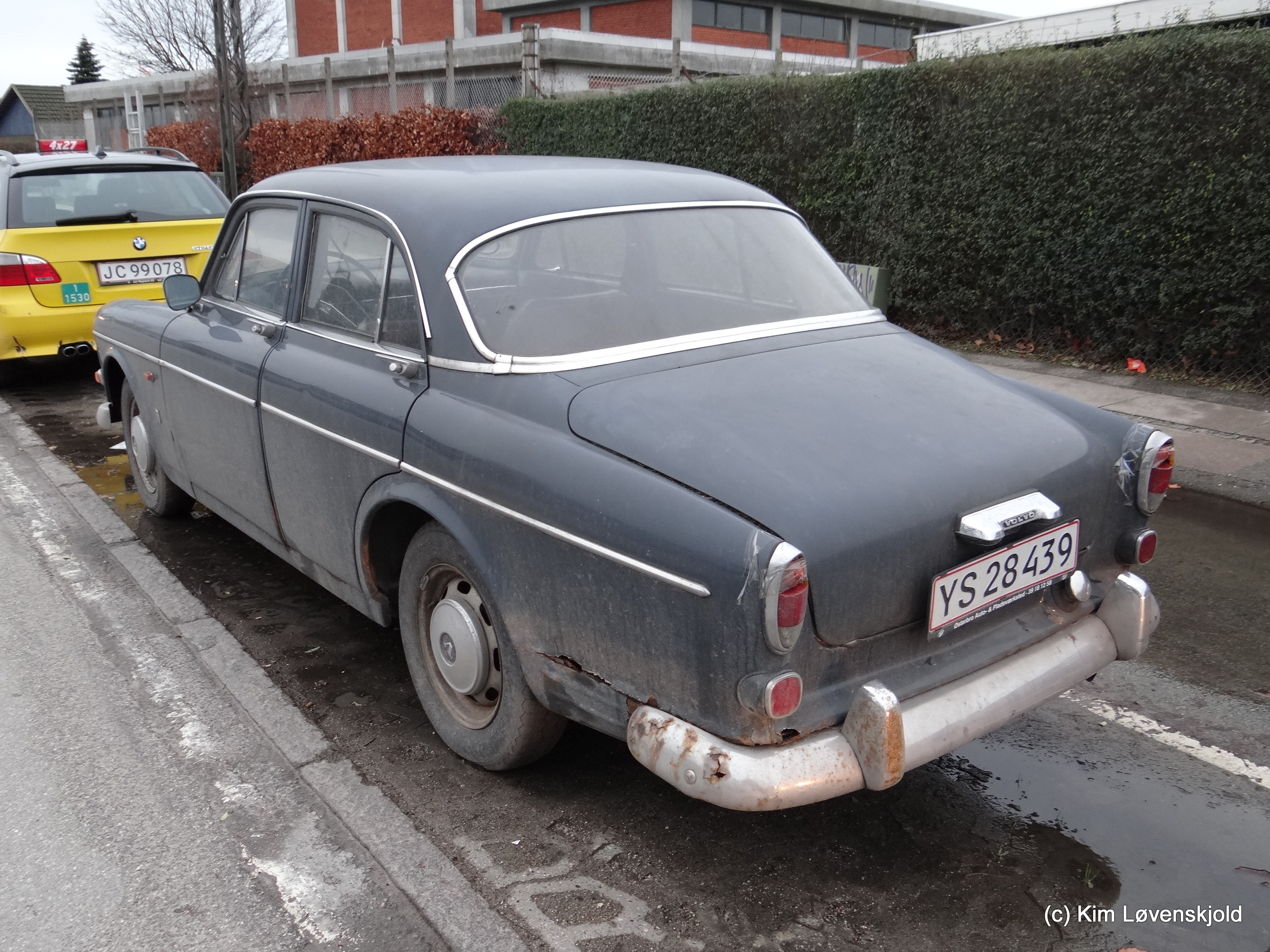 Volvo 121 Amazon