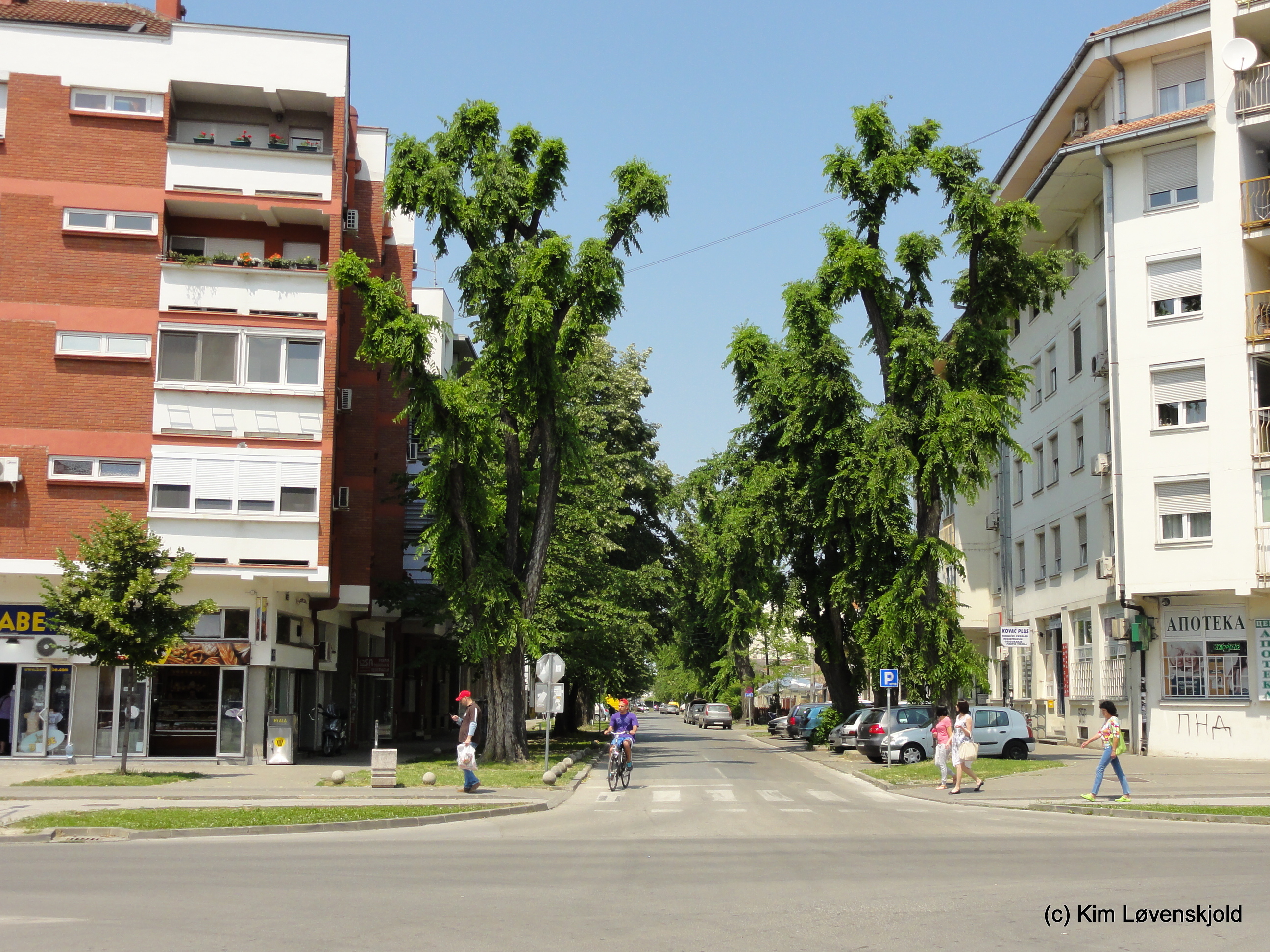 Novi Sad