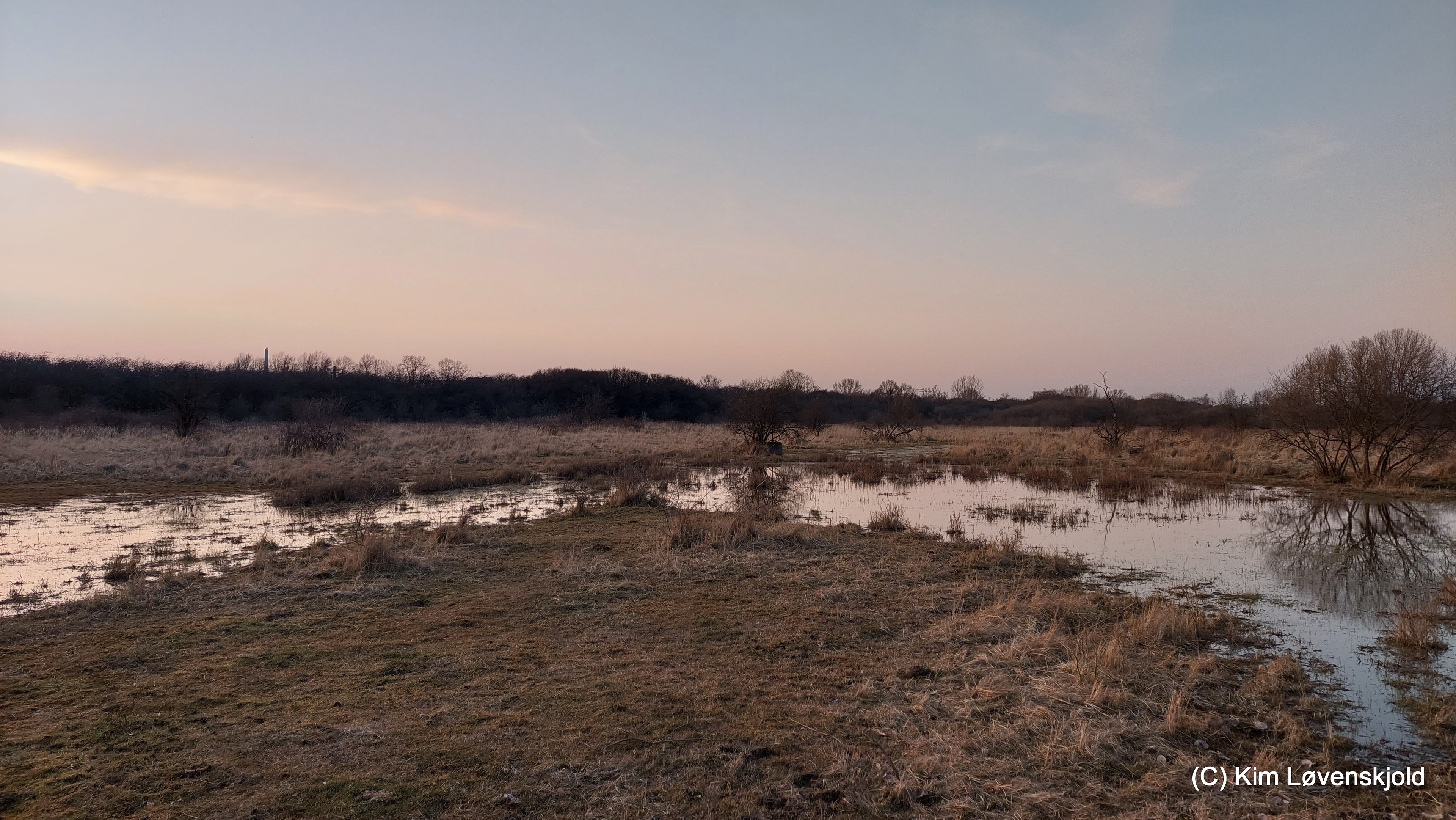 Amager Fælled