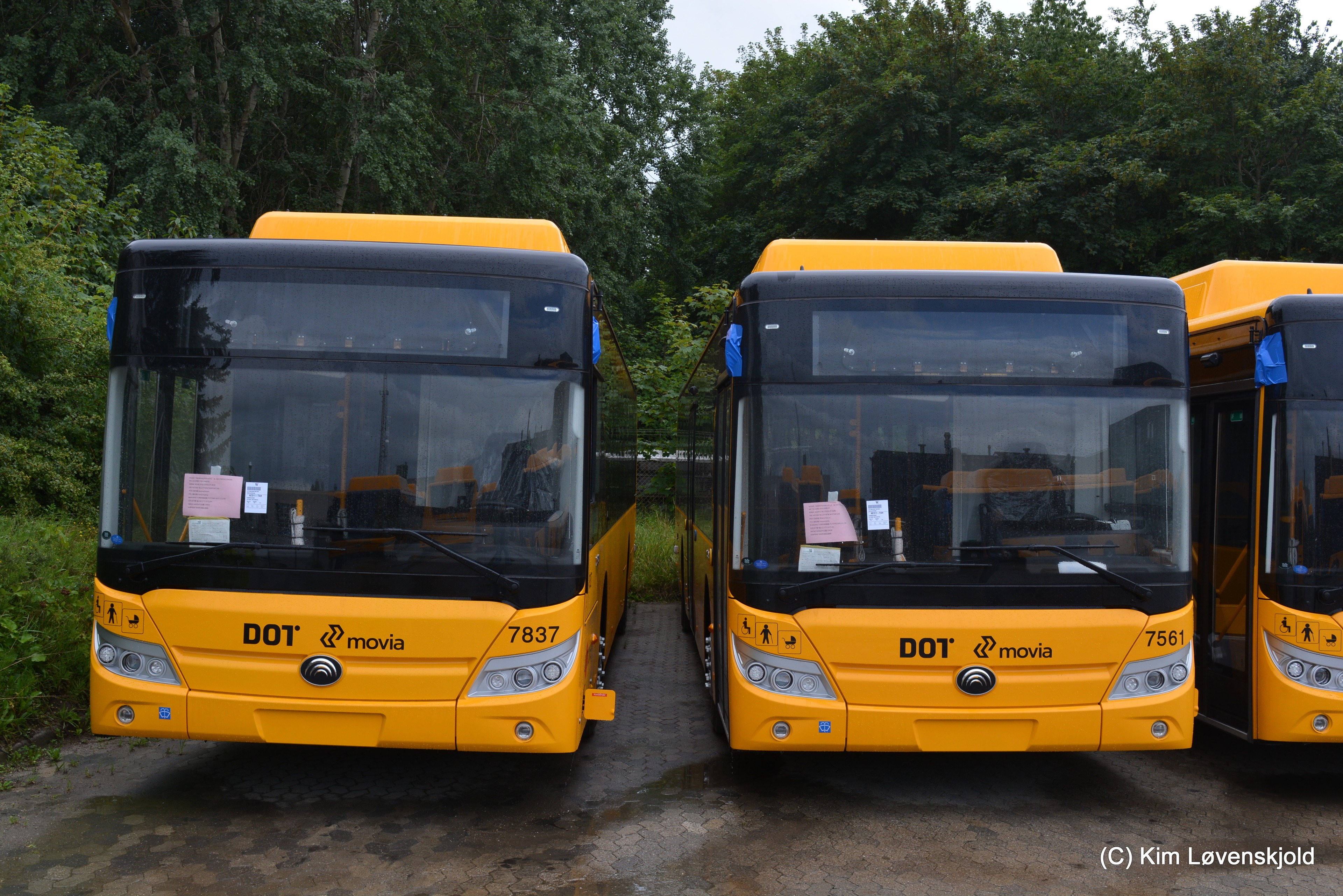 2023' Yutong E12LF