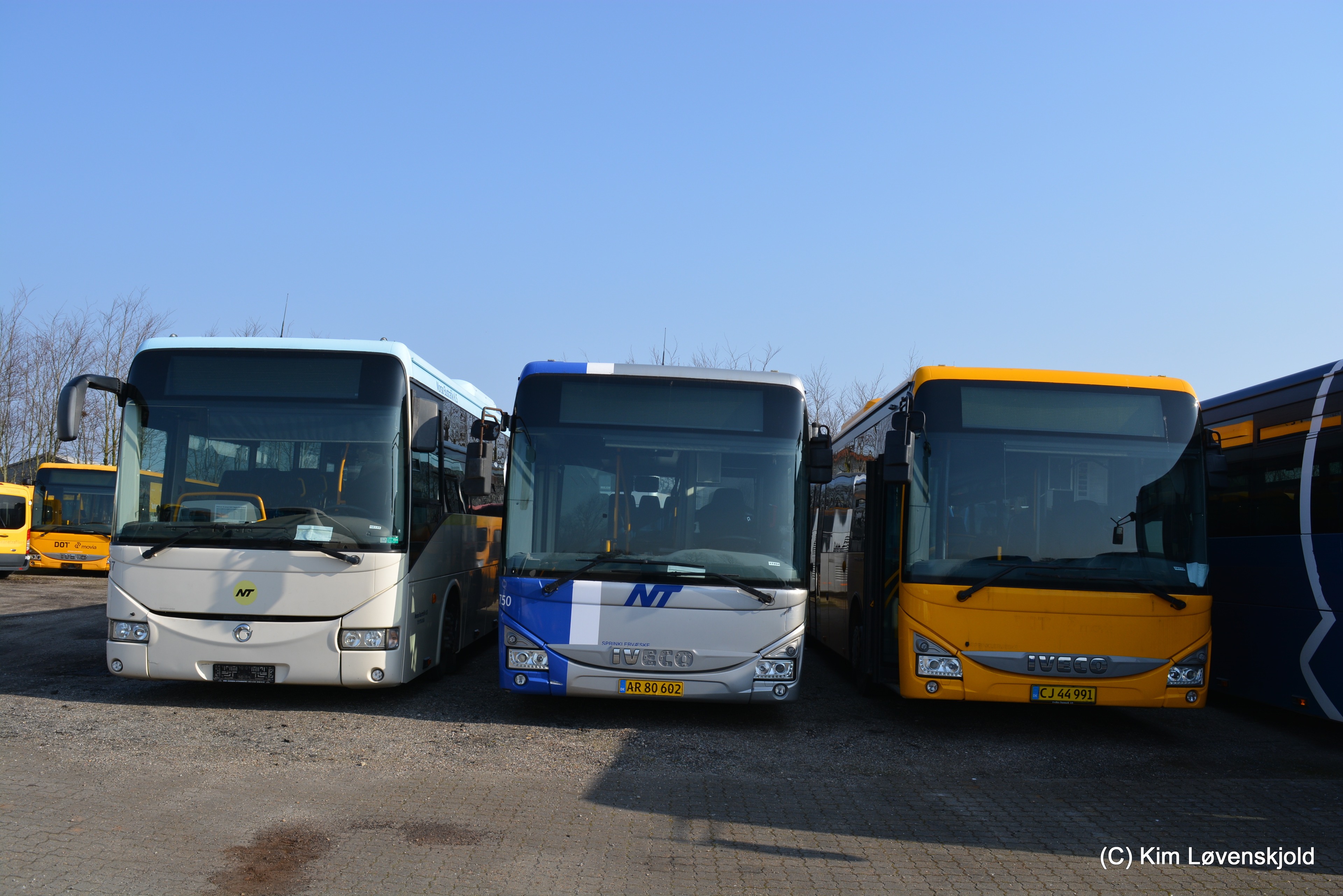3 x Crossway