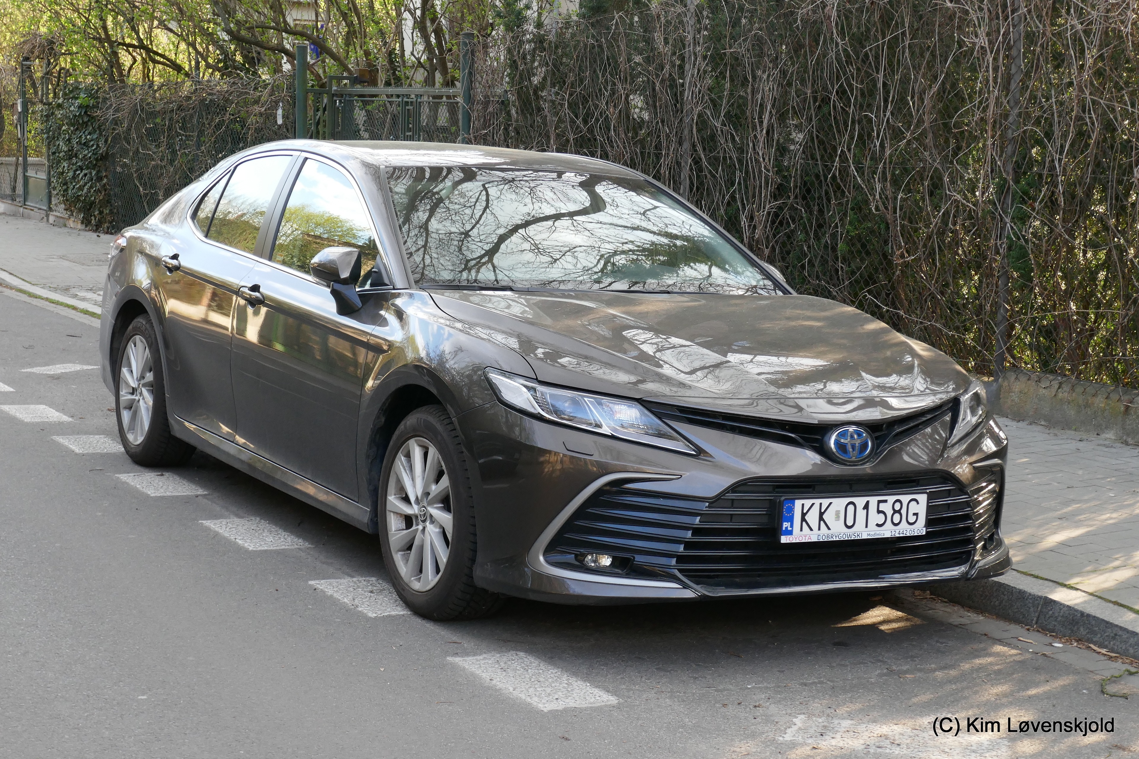 Toyota Camry Hybrid