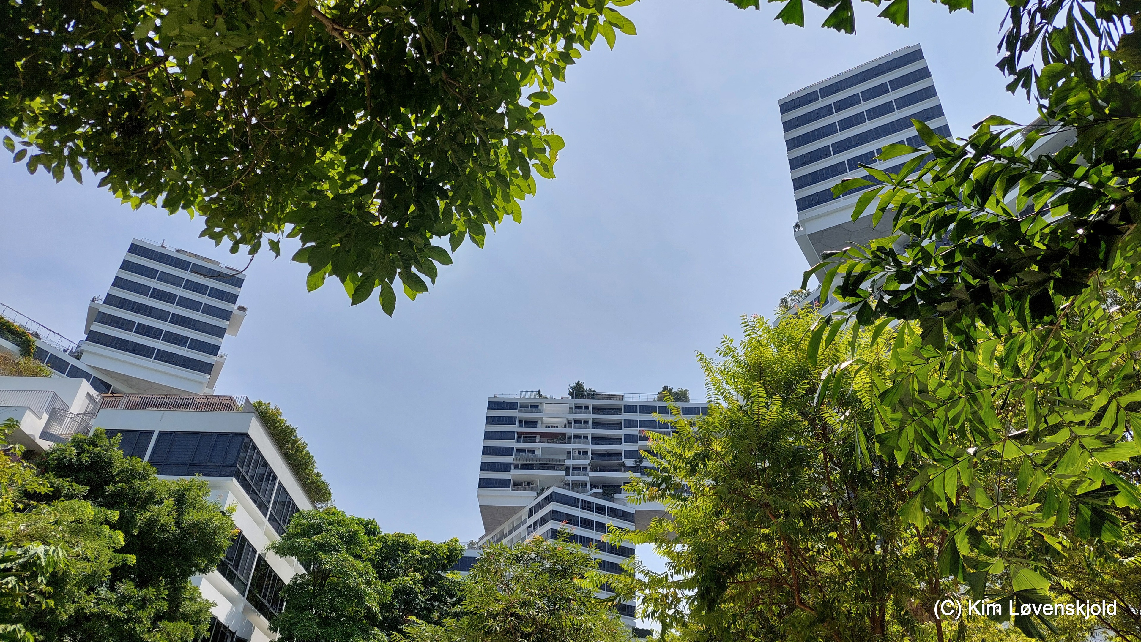 The Interlace apartment buildings