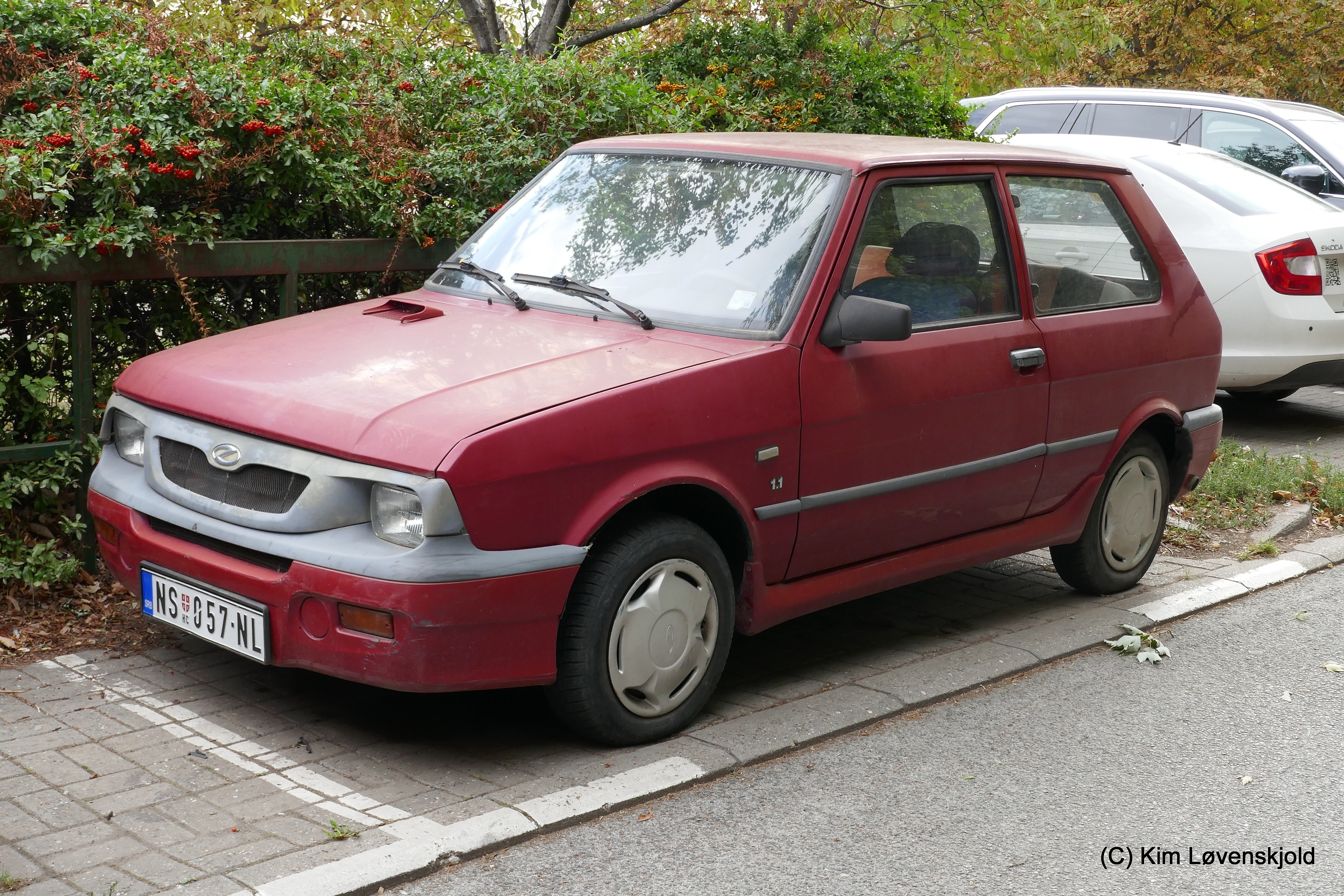 Zastava Koral In
