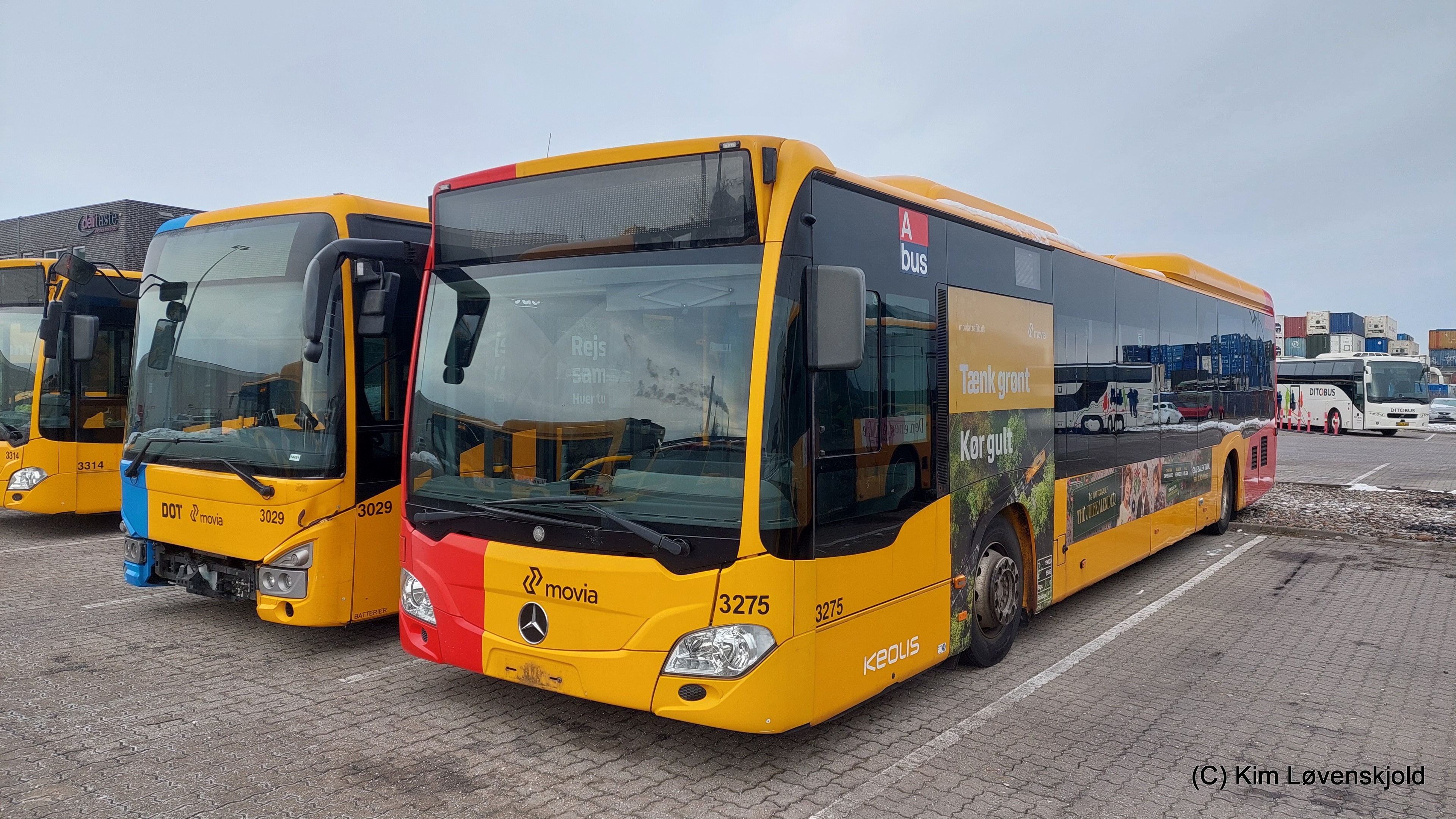 2019' Irisbus Crossway LE & 2015' Mercedes Citaro C2 LE MÜ