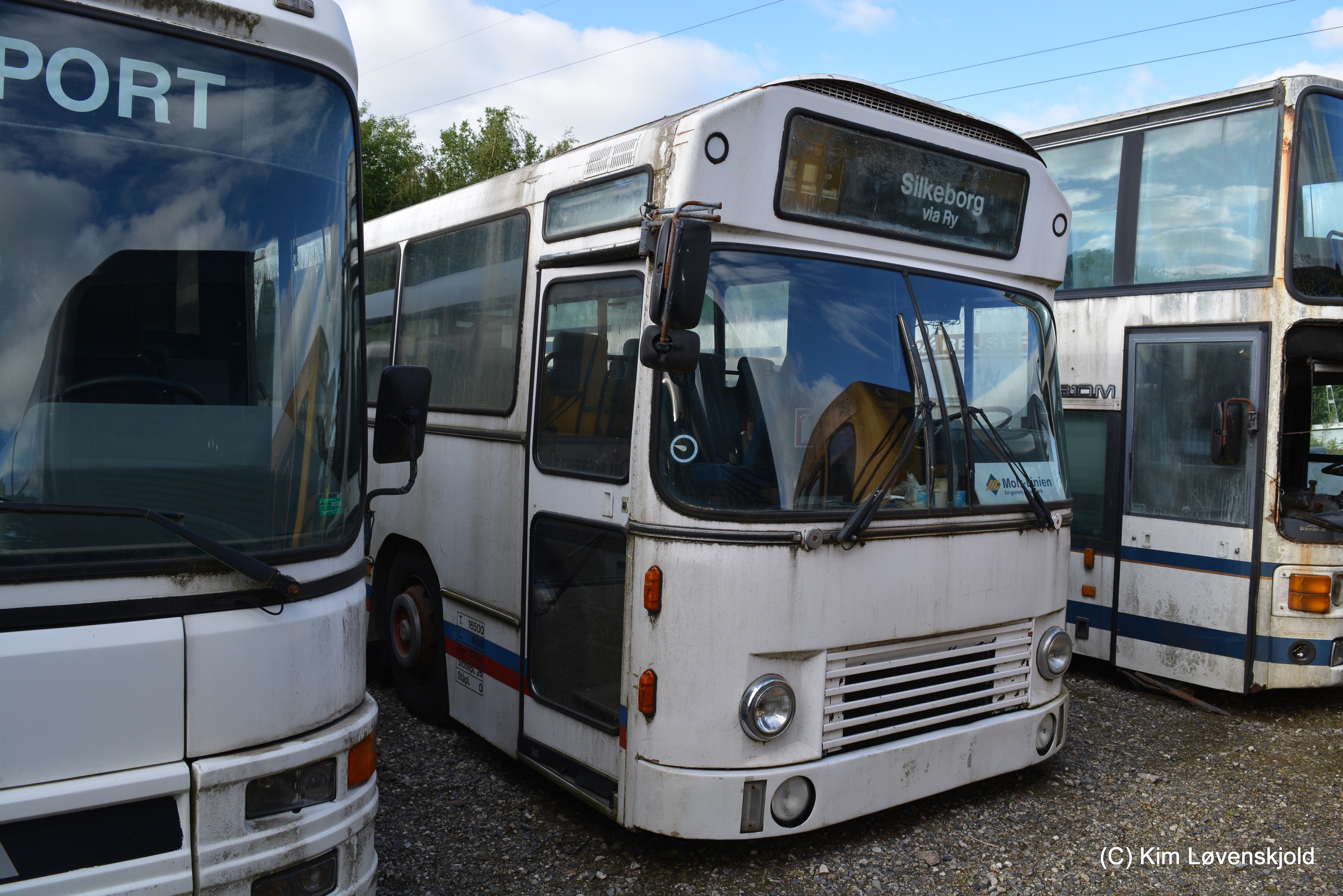 1981' Leyland 6-5-TL11/6 DAB series 6